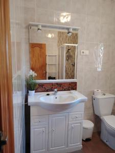 a bathroom with a sink and a toilet and a mirror at Casa Paloma Blanca in Málaga +28 photos