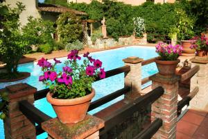 A garden outside Albergo Del Chianti