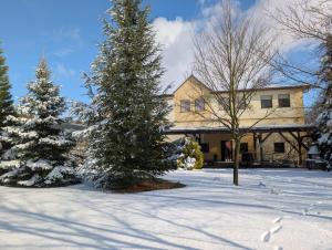 a house with two christmas trees in the snow at Pension zum Reiterhof, Fewo 2 in Schmogrow