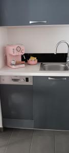 een aanrecht met een wastafel en een mixer bij Lilas in Giromagny