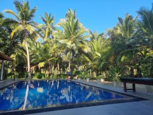 a swimming pool with palm trees in the background at Nima villa in Tangalle