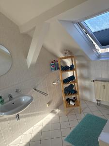 baño con lavabo y tragaluz en Kuschelige Dachgeschosswohnung am Clarapark, en Leipzig