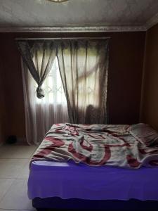 Ένα ή περισσότερα κρεβάτια σε δωμάτιο στο Amapholas Bed and breakfast +1 φωτογραφίες