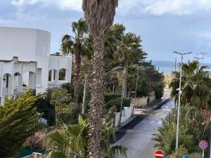 a palm tree on the side of a street at Baia Piccola in Baia Verde