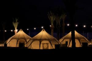 a group of tents in a field at night at Tamar Land in Kalia