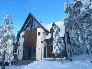 Anika - Mountain Home взимку