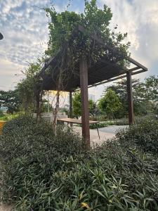 Un jardín fuera de Sò Home