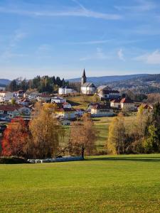 a small town on a hill with a green field at Appartement Johanna in Schwarzenberg am Bohmerwald