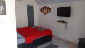 a bedroom with a bed with a red blanket and a flat screen tv at Pousada do Sol in Pedra de Guaratiba