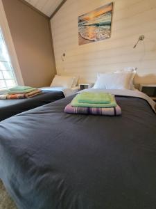 zwei Betten nebeneinander in einem Zimmer in der Unterkunft Chalet familial entre lac et fôret in Azur