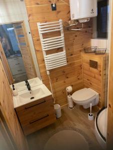 a small bathroom with a toilet and a sink at Domek w Budzie Ruskiej in Buda Ruska +15 photos