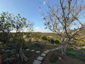 a garden with two trees and a stone path at Nhà gỗ Mộc châu Panorama in Mộc Châu