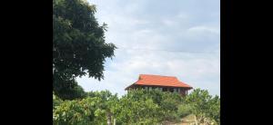 a building with a red roof on top of trees at Nhà gỗ Mộc châu Panorama in Mộc Châu