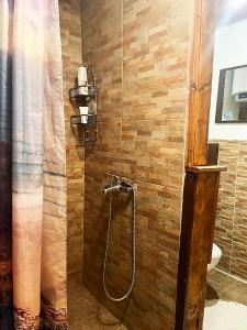 Gornja BrusovačaにあるVila Bella Vistaの木製の壁がある浴室のシャワー +31枚の写真