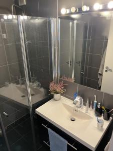 a bathroom with a sink and a shower at Trondheim in Trondheim