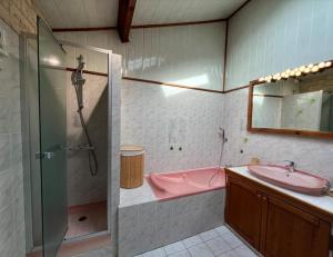 a bathroom with a shower and a sink and a tub at Superbe Chalet au calme, jardin et parking près de Paris in Fontenay-sous-Bois +15 photos