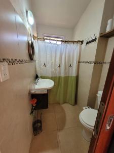 a bathroom with a sink and a toilet and a shower at La casita del colibri in Córdoba