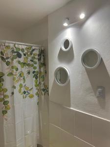 Sarmiento B1 في سان فرناندو ديل فالي دي كاتاماركا: حمام مع ستارة دش ومرآة