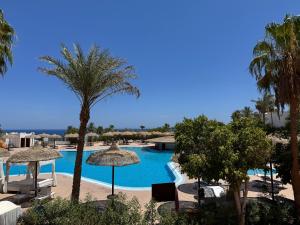 Sultan Sunscape - Premium Sea View Apartment at Domina Coral Bay في شرم الشيخ: اطلالة المسبح مع النخيل والمظلات
