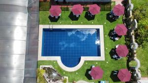 an overhead view of a swimming pool with chairs and umbrellas at Hosteria Casa Silva in Checa