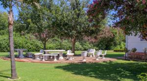 A garden outside The Fountain Villa
