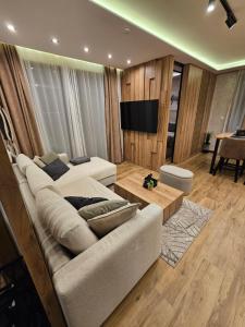 TV in/ali zabaviščno središče v nastanitvi Borovi Deluxe Suite