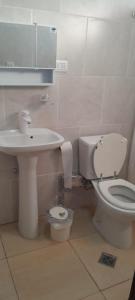 a bathroom with a toilet and a sink at Freedom GALLE in Río Gallegos