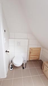 a bathroom with a toilet in a attic at Central apartment in Buchholz idN in Buchholz in der Nordheide +9 photos