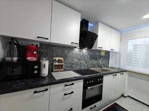 O bucătărie sau chicinetă la Modern Apartments Neuburg N - NEU - 3 Zimmer, Stellplatz, Top Ausgestattet, Küche, 4 TV, Wi-Fi