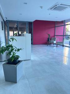 an empty office with a plant in the middle of a room at Luxury Suite kingston city view in Kingston +34 photos