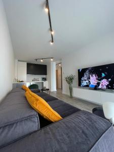 Un televizor și/sau centru de divertisment la Parcului20 Apart near Romexpo, Herastrau Park