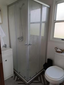 a bathroom with a shower and a toilet at La Martinna 2 in Trinidad