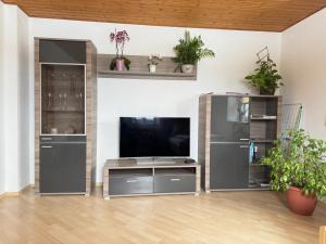 TV a/nebo společenská místnost v ubytování Ferienwohnung Rauchkofelblick