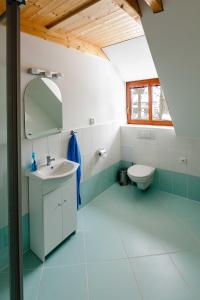 ห้องน้ำของ Penzion U Boženky