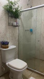 Glória do Goitáにあるchacara santa mariaのトイレとガラスのシャワー付きのバスルーム +8枚の写真
