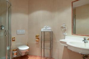 a bathroom with a sink and a toilet and a shower at Hotel Sachsenklemme in Fortezza
