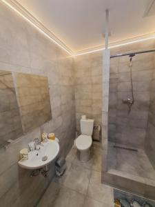 a bathroom with a toilet and a sink and a shower at New modern apartments in the center in Ivano-Frankivsʼk