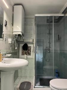 a bathroom with a shower and a toilet and a sink at Alma - Panonia Apartments in Novi Sad