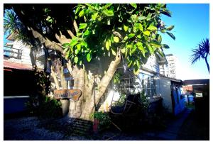 a tree with a sign in front of a building at Hotel Los Ángeles in Mar del Plata