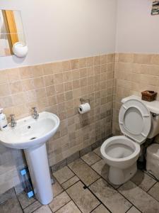 a bathroom with a toilet and a sink at Parkwood House in Dungannon +35 photos
