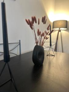 Φωτογραφία από το άλμπουμ του Χαιδω apartments σε Mantoúdion