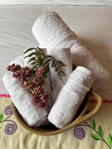 库斯科Sacred Garden Home的相册照片