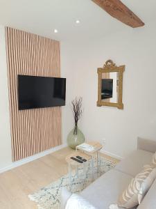 a living room with a couch and a tv on a wall at La Nichée appartement 2 chambres in Trévoux +30 photos