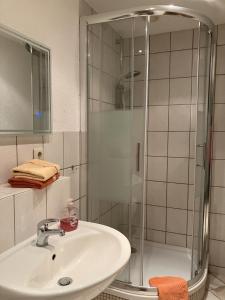 a bathroom with a sink and a shower at Ferienwohnung "Tier-Garten" in Tribsees