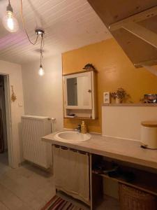 Koupelna v ubytování De oude smidse - tuinkamer