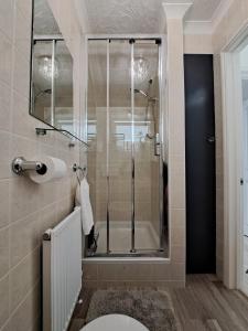 a bathroom with a shower and a toilet at Self Catering Appartment 1 bedroom 2 double beds in East Cowes
