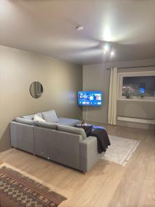 TV a/nebo společenská místnost v ubytování Cozy apartment near ski attractions