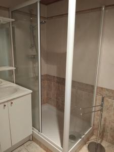 a shower with a glass door in a bathroom at Le Courcelot in Saint-Loup-sur-Aujon
