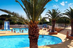 a palm tree in the middle of a swimming pool at Mobilhome 3 chambres Clim 6 Personnes in Vic-la-Gardiole