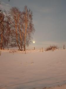 a snow covered field with trees and the sunset at Ferienhaus Gickelsberg in Hohnstein